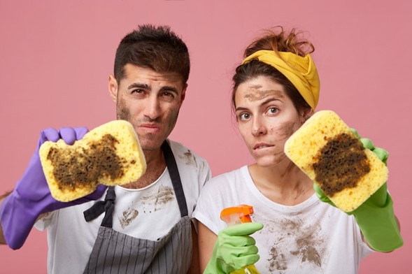 Signs of hidden mold