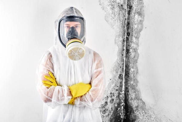 toxic mold