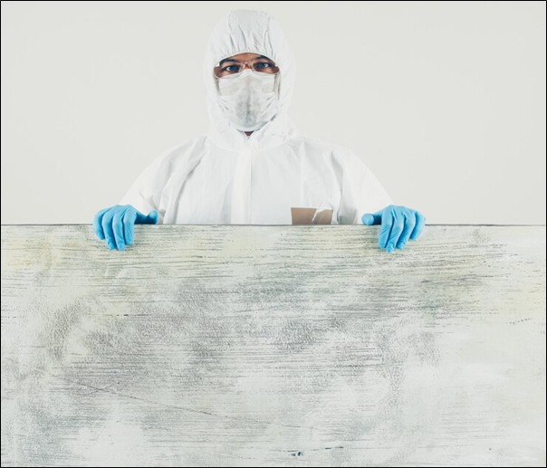 Mold Testing